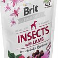 Brit Care Dog Insects with Lamb & Raspberries 200 g
