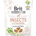 Brit Care Dog Insects with Salmon & Thyme 200 g