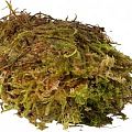 HabiStat Sphagnum Moss 250 g