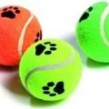 Karlie míč tenisový pískací s tlapkou 6 cm 3ks (4016598456507)