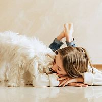 Maltézsky psík vzťah k deťom